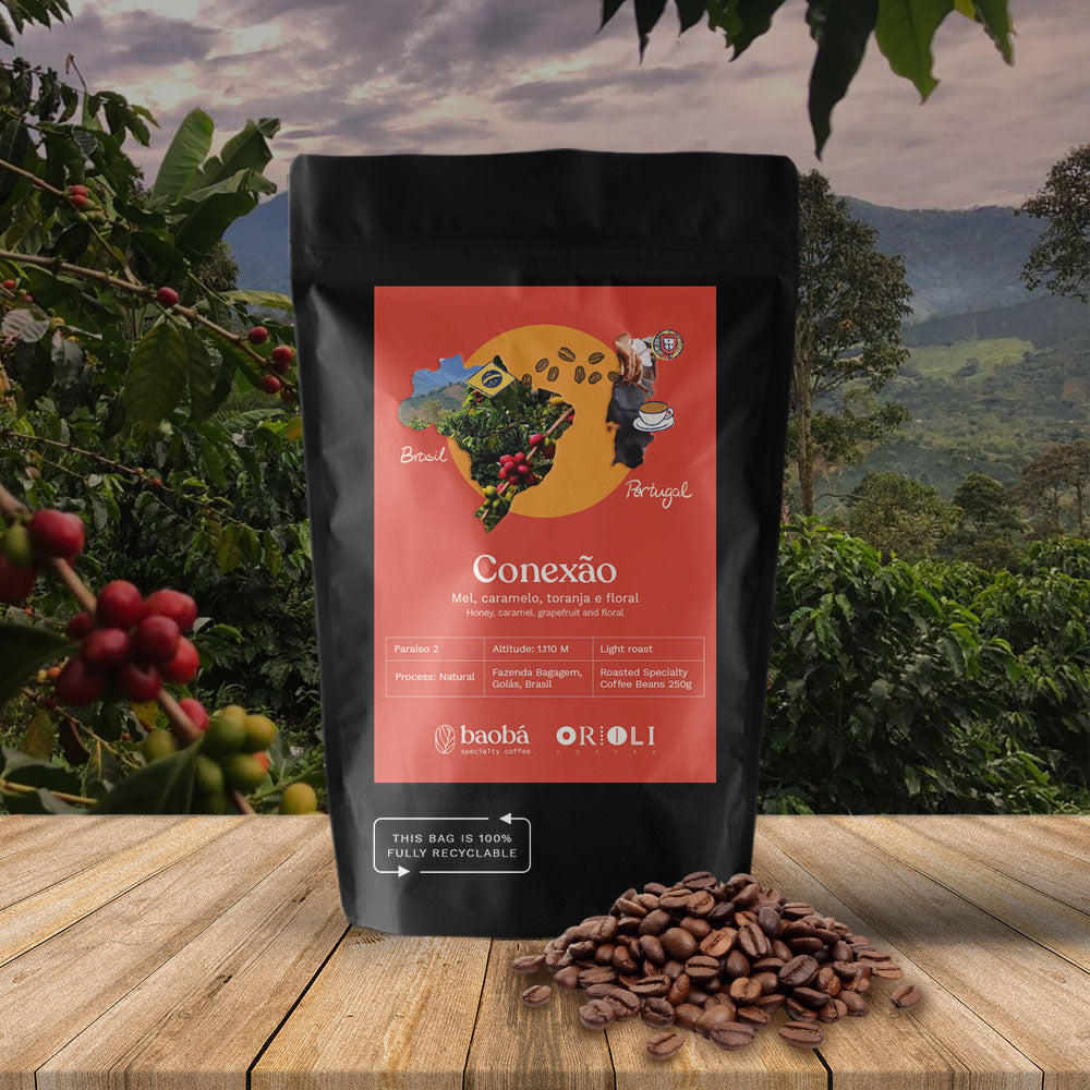 Microlote Conexão (250g)