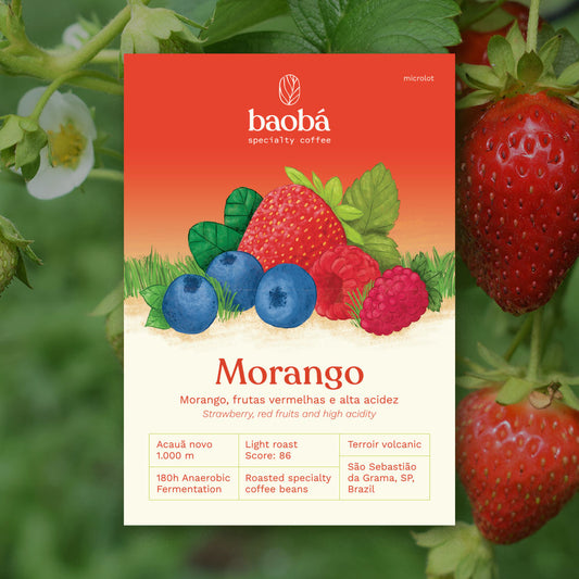 Microlote Morango (250g)