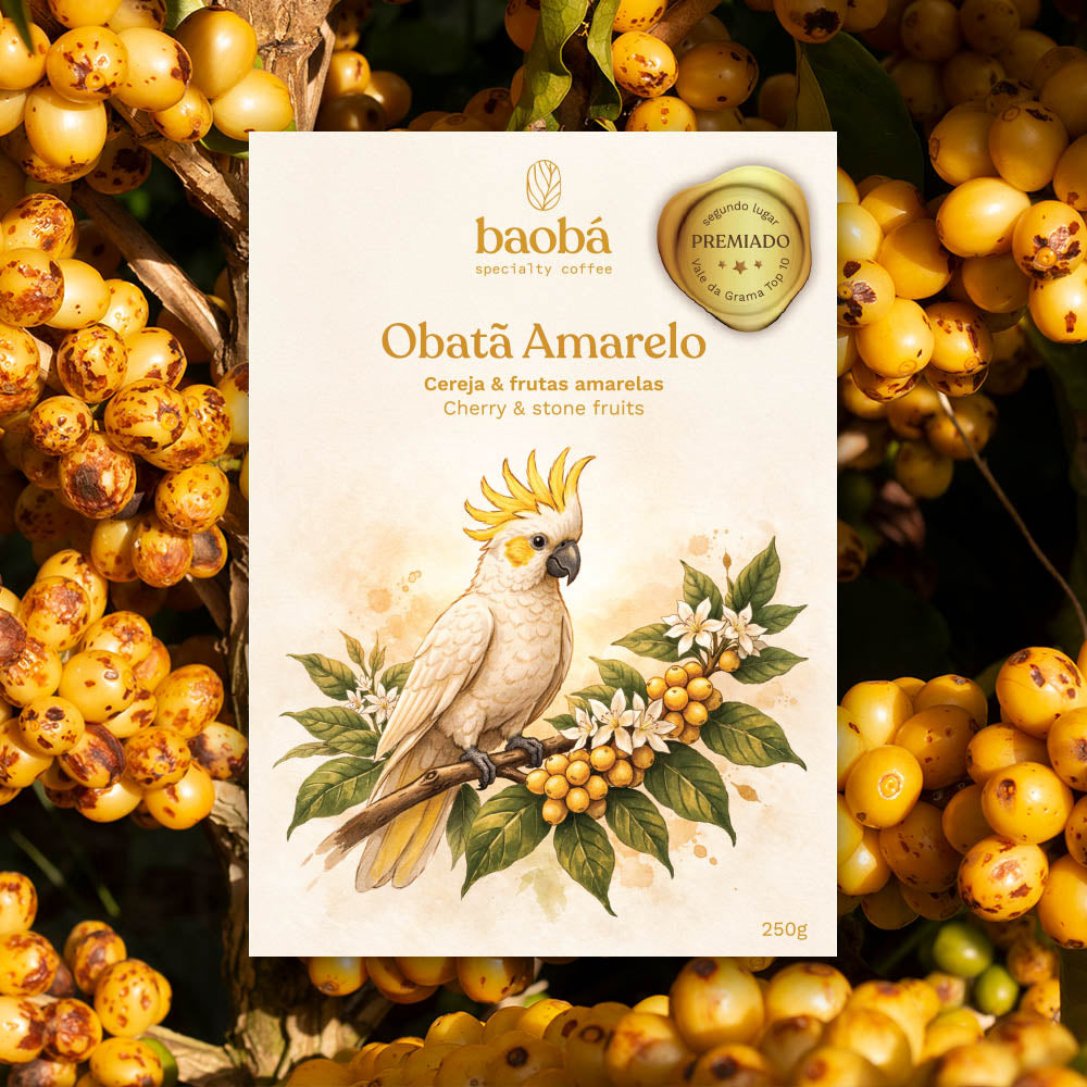Microlote Obatã Amarelo (250g) | Public Favorite Coffee Roaster | Lisbon 2026