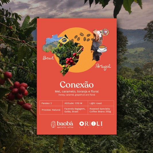 Microlote Conexão (250g)