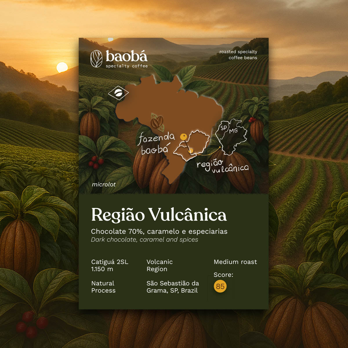 Microlote Região Vulcânica (250g)