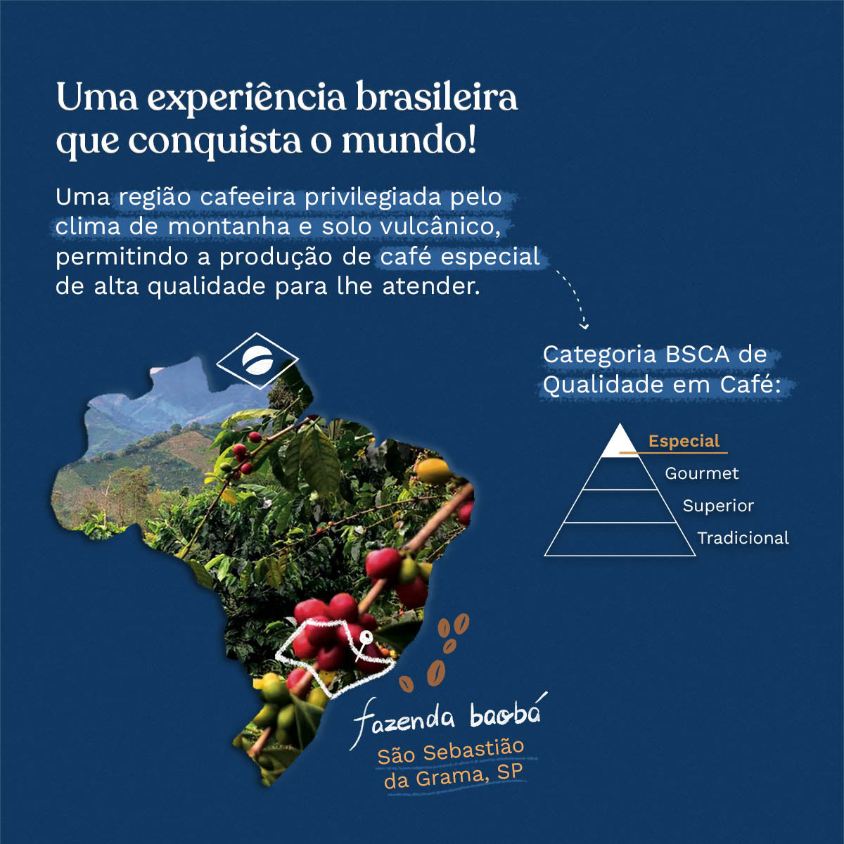 Microlote Região Vulcânica (250g)